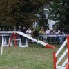 foire-haricots 2011-09-17et18